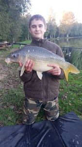 Common Carp