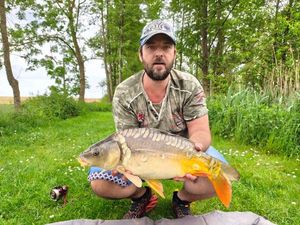 Mirror Carp