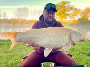 Koï Fish