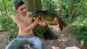 Common Carp