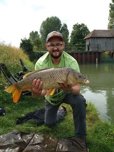 Common Carp