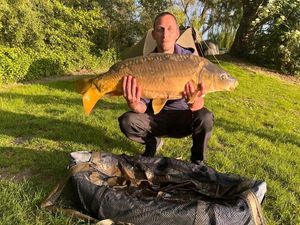 Mirror Carp