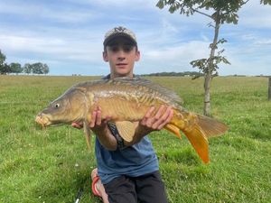 Mirror Carp