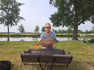 Crucian Carp