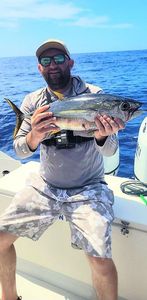 Yellowfin Tuna
