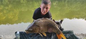 Mirror Carp