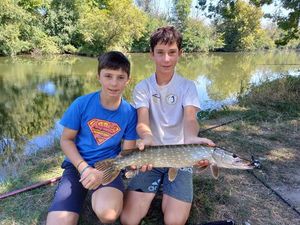 Northern Pike