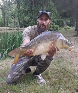 Mirror Carp
