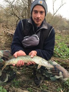 Northern Pike