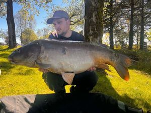 Mirror Carp