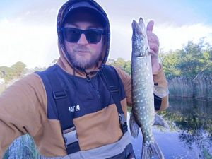 Northern Pike