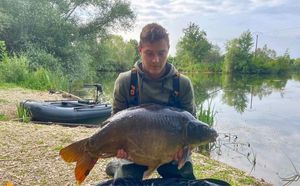 Mirror Carp