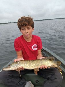 Northern Pike