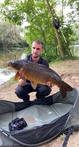 Mirror Carp