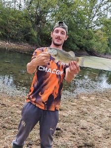 Largemouth Bass