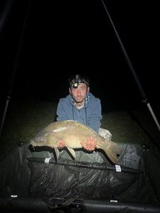 Leather Carp