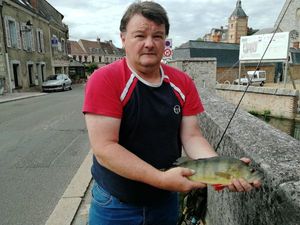 European Perch