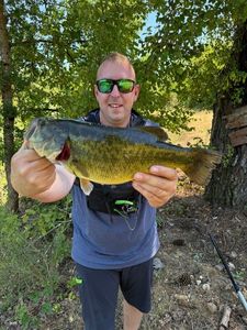 Largemouth Bass