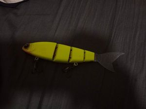 Swim bait