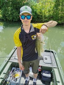 Largemouth Bass