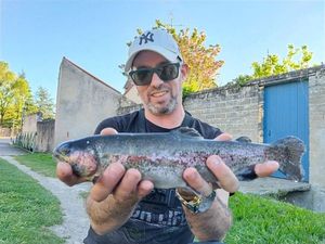 Rainbow Trout