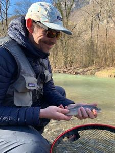 Brown Trout