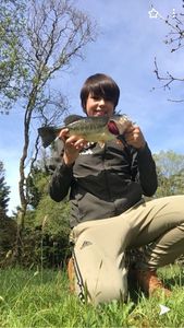 Largemouth Bass