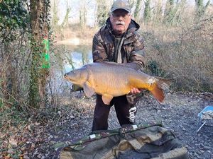 Mirror Carp