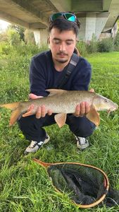 Barbel