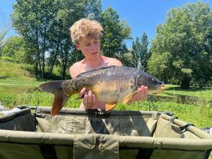 Mirror Carp