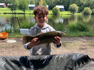 Tench