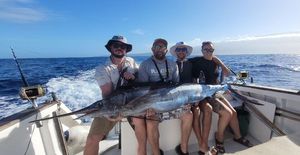 Blue Marlin (Atlantic)