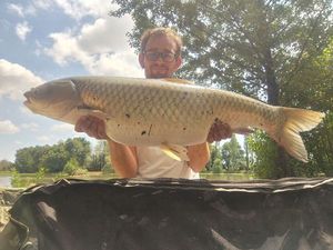 Grass Carp