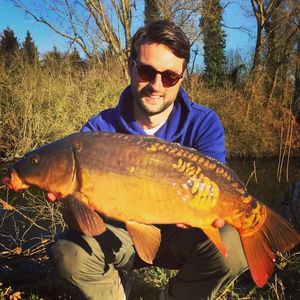 Mirror Carp