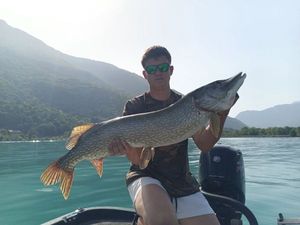 Northern Pike