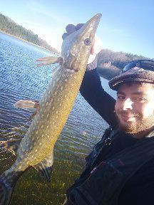 Northern Pike