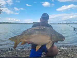 Mirror Carp