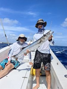 Great Barracuda