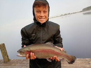 Rainbow Trout