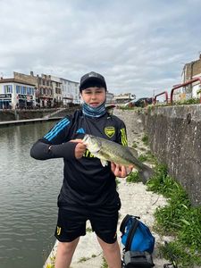Largemouth Bass