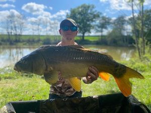 Mirror Carp