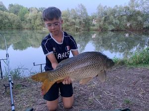 Common Carp