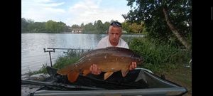 Mirror Carp