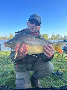 Mirror Carp