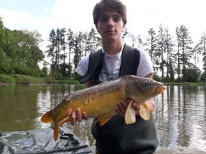 Mirror Carp
