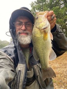 Achigan à Petite Bouche (Black-Bass)