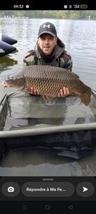 Common Carp