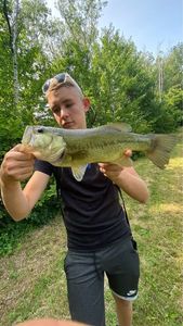 Smallmouth Bass