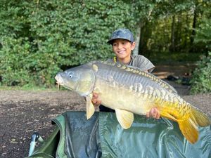 Mirror Carp