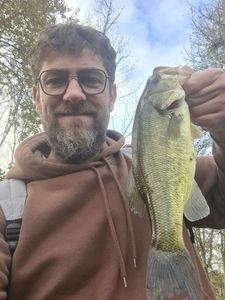 Smallmouth Bass